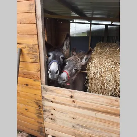 Chaumiere Du Chateau D'o Et Sa Mini Ferme ,gite 21couchages *