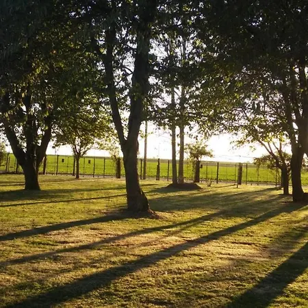 Chaumiere Du Chateau D'o Et Sa Mini Ferme ,gite 21couchages