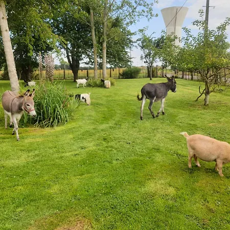 Chaumiere Du Chateau D'o Et Sa Mini Ferme ,gite 21couchages Holiday home Goupil-Othon