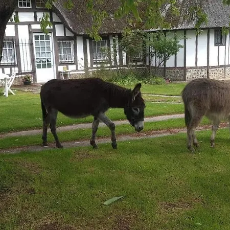 Chaumiere Du Chateau D'o Et Sa Mini Ferme ,gite 21couchages Holiday home Goupil-Othon