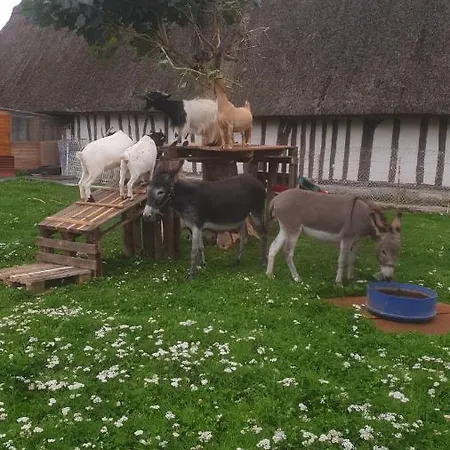 Ferienhaus Chaumiere Du Chateau D'o Et Sa Mini Ferme ,gite 21couchages