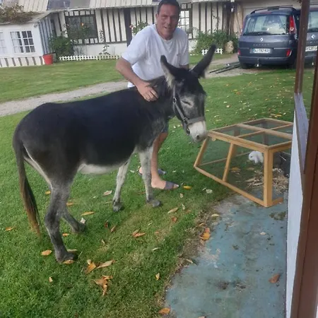 Chaumiere Du Chateau D'o Et Sa Mini Ferme ,gite 21couchages Goupil-Othon