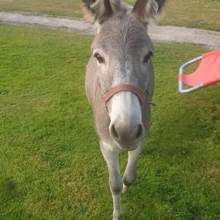 Holiday home Chaumiere Du Chateau D'o Et Sa Mini Ferme ,gite 21couchages Goupil-Othon