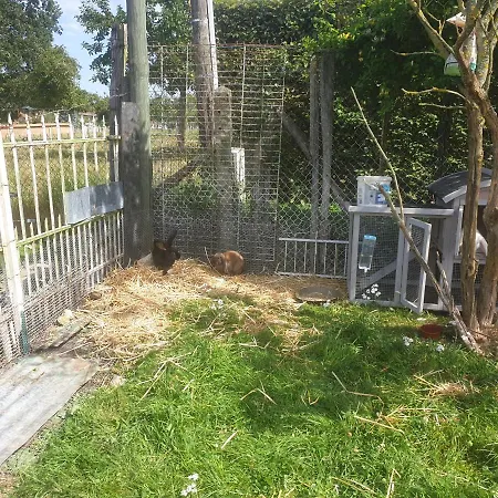 Chaumiere Du Chateau D'o Et Sa Mini Ferme ,gite 21couchages Holiday home