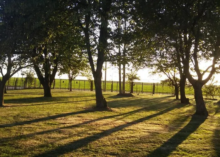 Chaumiere Du Chateau D'o Et Sa Mini Ferme ,gite 21couchages