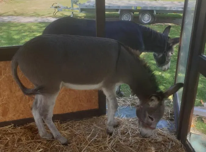 Holiday home Chaumiere Du Chateau D'o Et Sa Mini Ferme ,gite 21couchages Goupil-Othon