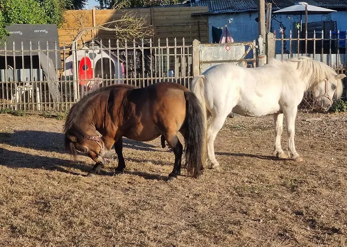 Holiday home Chaumiere Du Chateau D'o Et Sa Mini Ferme ,gite 21couchages *