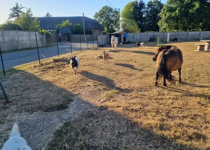 Chaumiere Du Chateau D'o Et Sa Mini Ferme ,gite 21couchages Holiday home Goupil-Othon