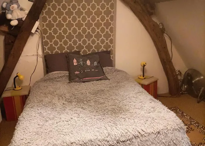 Chaumiere Du Chateau D'o Et Sa Mini Ferme ,gite 21couchages *